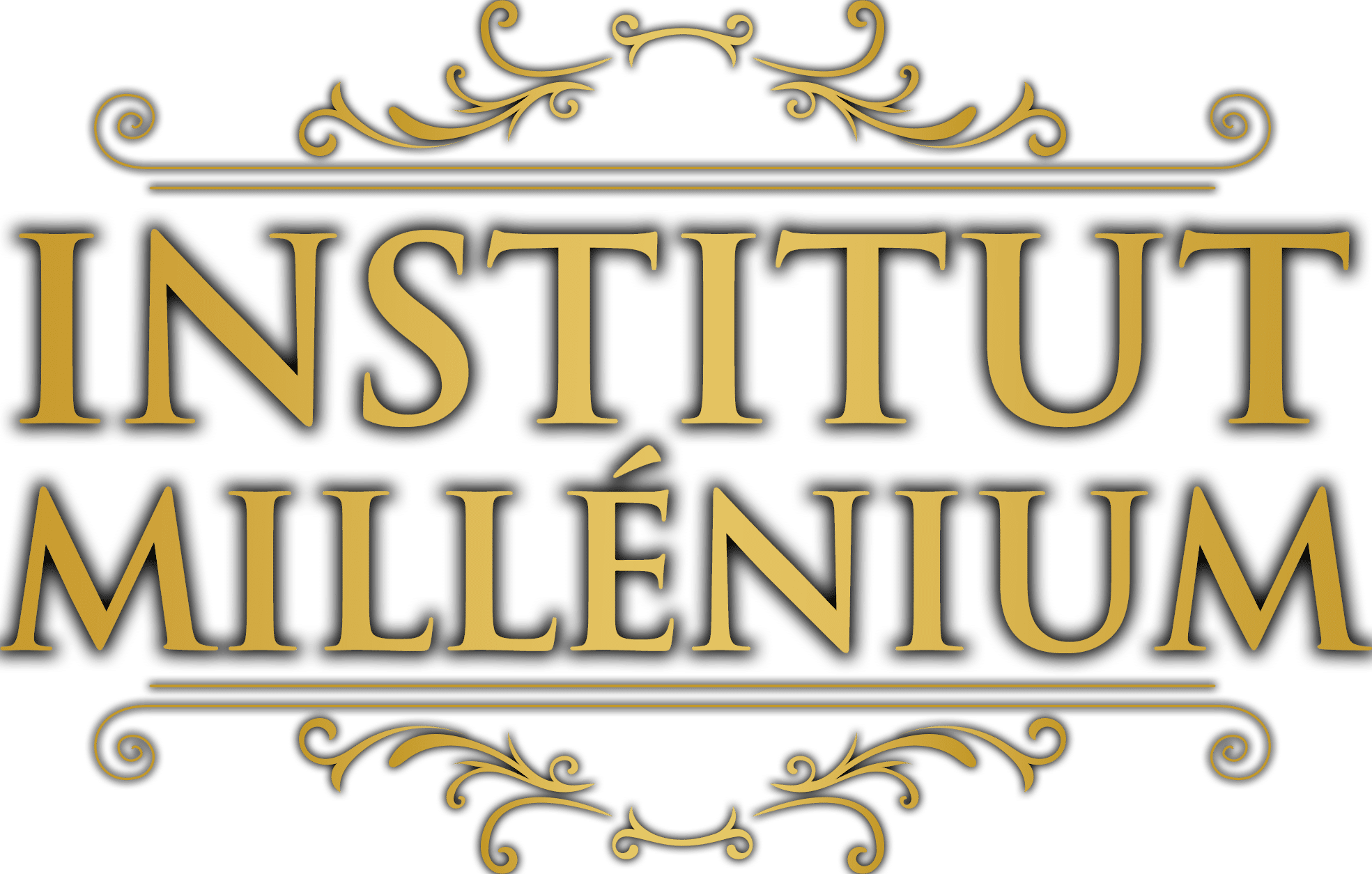 Institut Millénium Logo ombragé